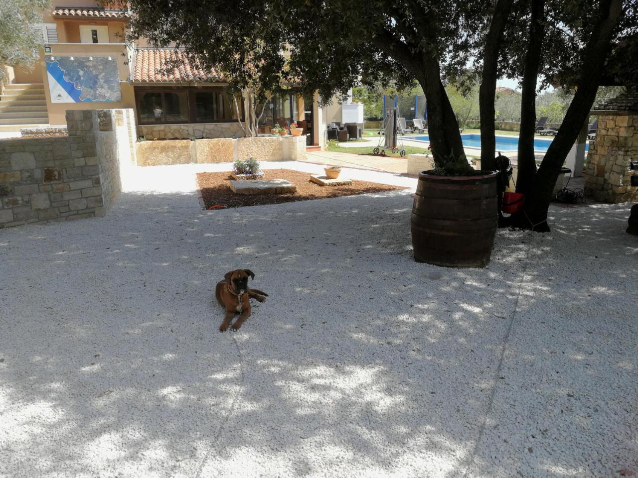 Guesthouse "Barboska" - Big Outdoor Swimming Pool & Private Tennis Court Vodnjan Exterior foto